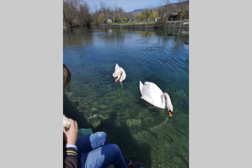 Le Portougais, Chalet A Chanaz, La Petite Venise Savoyarde 외부 사진